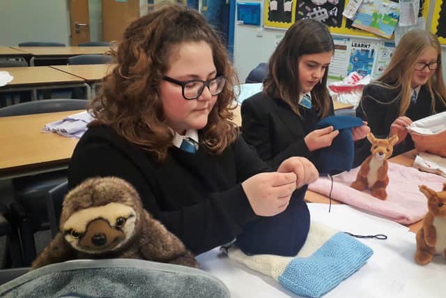 Pupils at Long Field Academy in Melton make pouches for orphaned baby animals affected by spreading wildfires in Australia EMN-200120-104741001
