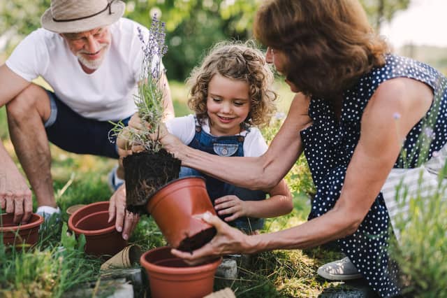 Essential gardening tools for spring