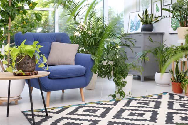 <p>where to buy great living room chairs, from leather, deep seat, to mid century frames</p>