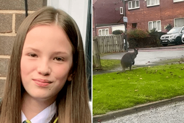 This is the bizarre moment schoolgirl Cia Christie spotted a wallaby hopping down a street in Gateshead