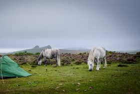 Wild camping on Dartmoor has been restricted after a new High Court ruling. (Credit: Adobe)