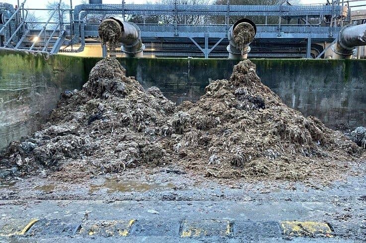 Severn Trent, has revealed a picture showing the extent of sewage misuse, the majority being flushed wet wipes at one of its rag skips