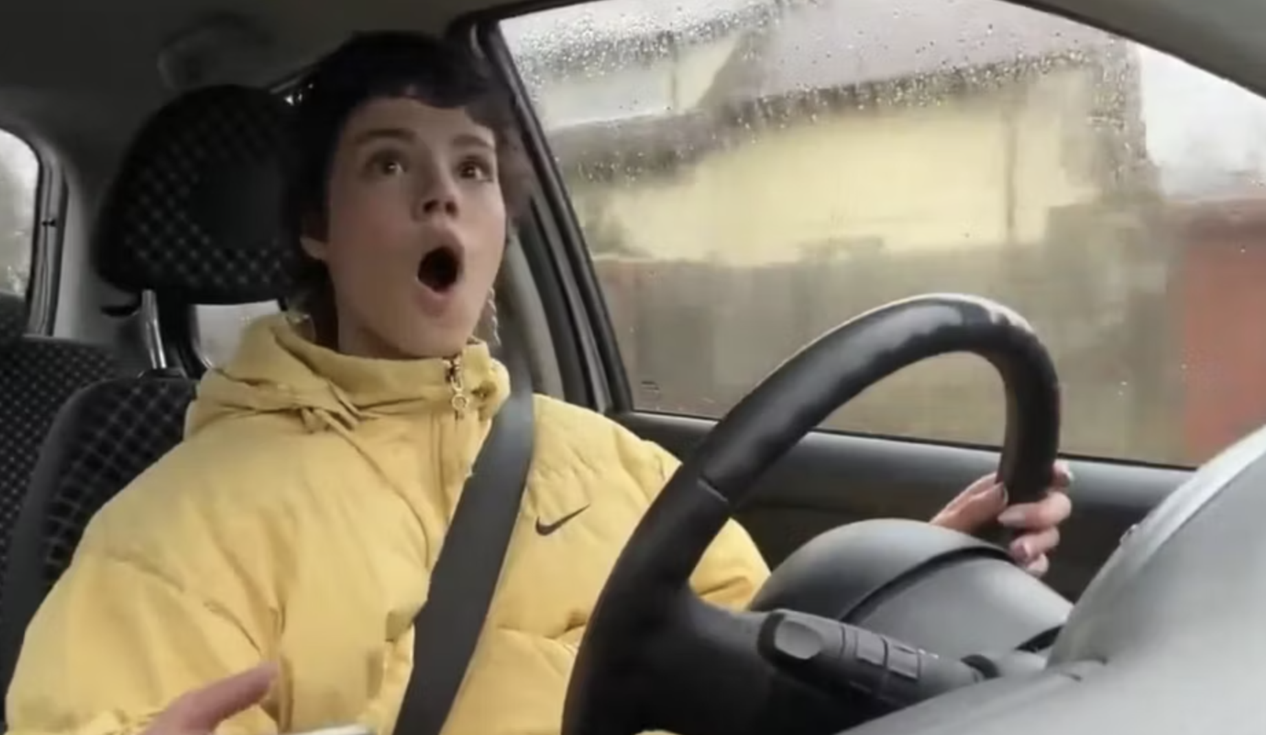 Twitch streamer appears to run over dog during livestream
