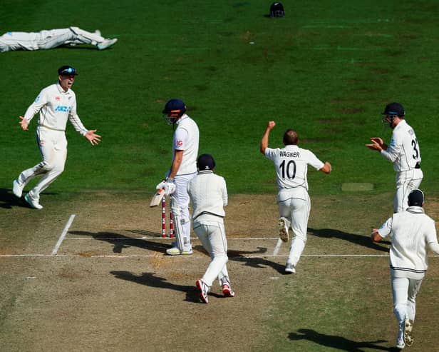 Neil Wagner of New Zealand celebrate the wicket of during day five of the Second Test Match between New Zealand and England at Basin Reserve on February 28, 2023 in Wellington, New Zealand. (Photo by Hagen Hopkins/Getty Images)