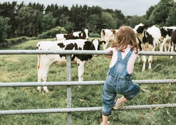 Farm animals should be treated like humans (photo: Catherine Falls Commercial)