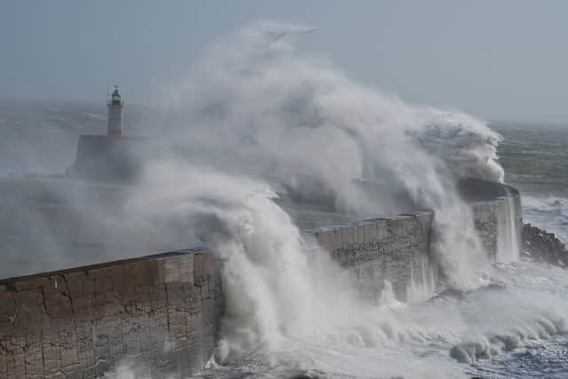 High winds expected to cause storm damage (photo: FitchyImages  - stock.adobe.com)