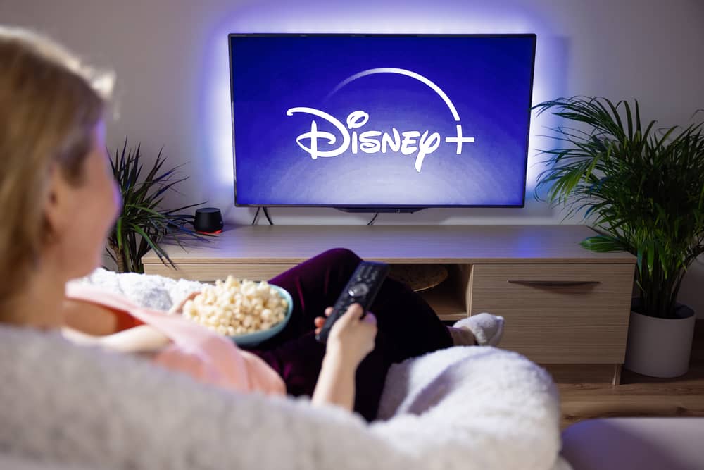 Disney Plus will crackdown on password sharing. Photo: Kaspars Grinvalds - stock.adobe