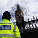 A petition has been launched asking for the Met Police to be held accountable over its handling of an incident in which two dogs were shot dead last Sunday. (Photo by Dan Kitwood/Getty Images)