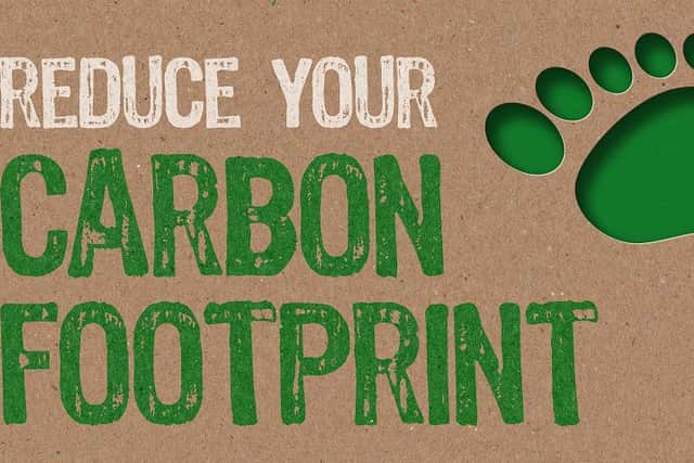 Reduce your carbon footprint (photo: Shutterstock)