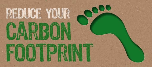 Reduce your carbon footprint (photo: Shutterstock)