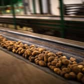 Brexit, floods and Covid could lead to shortages of chips and roast potatoes in UK (Photo: MARTIN BUREAU/AFP via Getty Images)