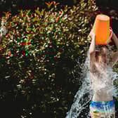 Seven regions in England have been issued with a heat health alert which will remain in place for four days. 