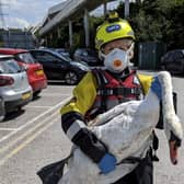 The RSPCA has returned a female swan to be with her partner and cygnets after she was treated for wing injuries following an attack by two teenagers who were seen stabbing her with sticks.