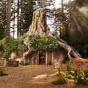 Shrek’s Swamp AirBnB: Rare opportunity for ogre enthusiasts to rent DreamWorks shack this Halloween