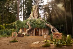 Shrek’s Swamp AirBnB: Rare opportunity for ogre enthusiasts to rent DreamWorks shack this Halloween