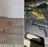 A mum was left horrified as a rat chewed through her kitchen door in the night in Doncaster, South Yorkshire