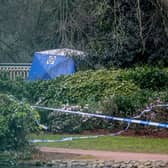 A police tent in West Park in Wolverhampton following a stabbing.