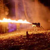 The Thermonator flamethrowing robot dog. 