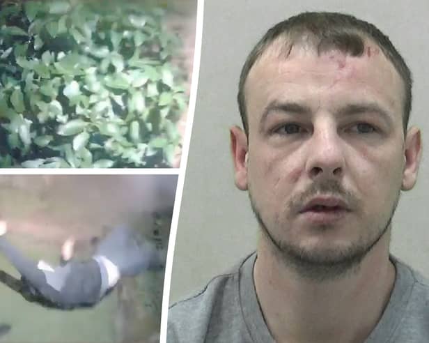 Police body worn footage shows the arrest of Liam Curry, 28, who was dragged from a bush by officers after a spate of burglaries on a posh housing estate.