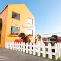 London's super-size doghouse - a treasure trove of toys - and a doggy-only ramp to travel up and down floors