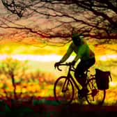 25% of Brits admit they can't ride a bike
