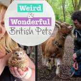 Watch a programme on Shots TV exploring some of Britain's quirkiest pets - and the wonderful things we get upto with them!