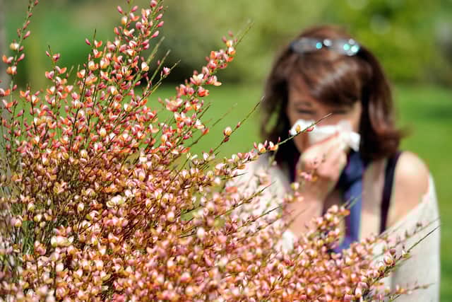 A pollen bomb is headed for the UK, but there are ways hay fever sufferers can ease their symptoms. (Photo: PHILIPPE HUGUEN/AFP via Getty Images)