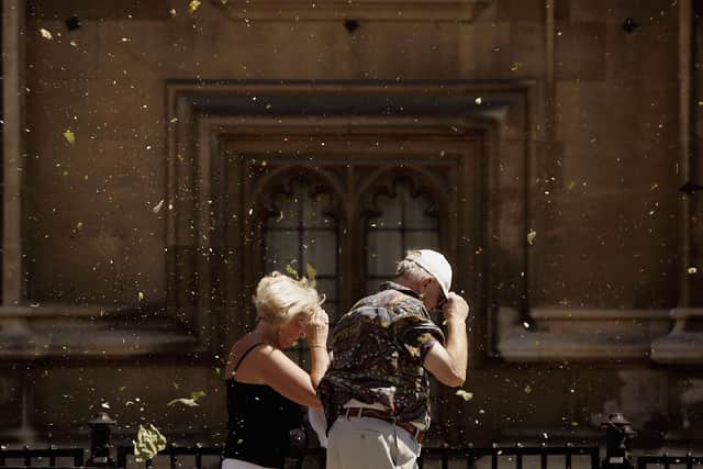 Leaves, dust and pollen in the air in London. (Photo: Bruno Vincent/Getty Images)