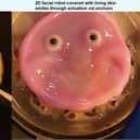 Robots get a 'living skin' makeover thanks to researchers in Japan. Photo by 2024 Takeuchi et al. CC-BY-ND / 