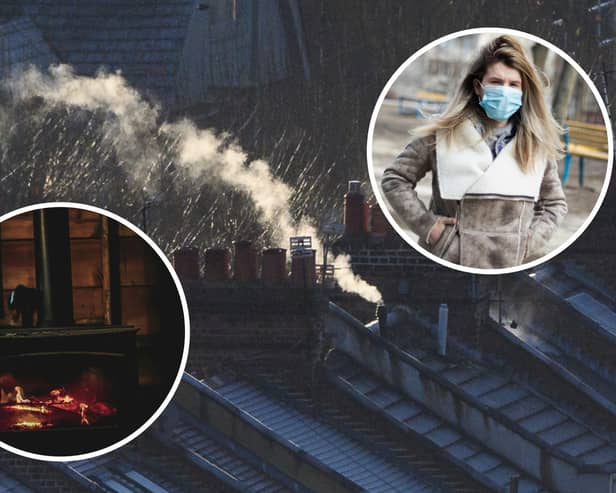 (Photos: Getty Images/Pexels)