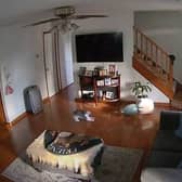 Mischievous cats caught on Ring Camera