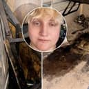 A desperate man claims a council is doing "nothing" after his mould-ridden flat left a relative hospitalised.