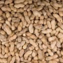 Chocolate company Prestat has recall some of its items due to an undeclared peanut allergen (Photo by AFP via Getty Images)