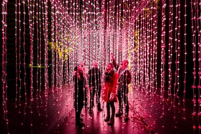 A feast of light awaits visitors with the return of Christmas At Belton in 2024.