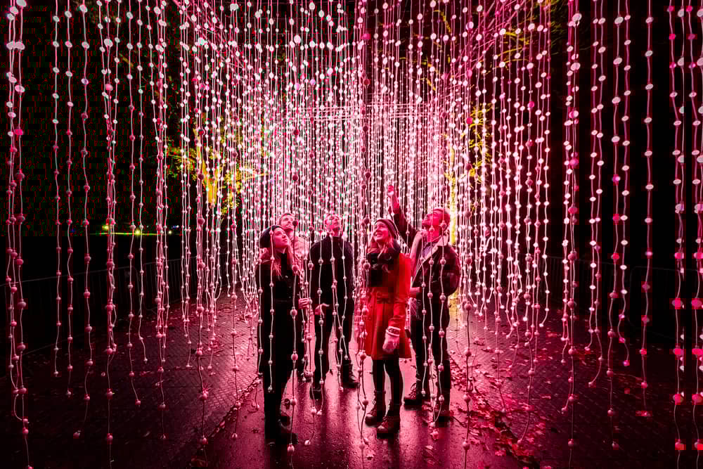 A feast of light awaits visitors with the return of Christmas At Belton in 2024.