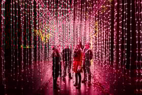 A feast of light awaits visitors with the return of Christmas At Belton in 2024.
