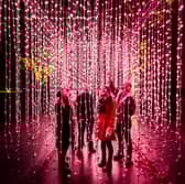 A feast of light awaits visitors with the return of Christmas At Belton in 2024.