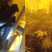 Man hurls soil at police as they find cannabis farm in raid.