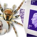 (Images: Royal Mail/Getty Images/Pexels)