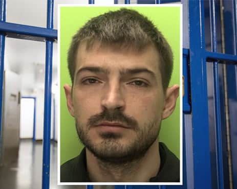 Arnold Elezi jailed for growing cannabis