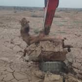 Video grab as a camel was rescued from being stuck in mud in the middle of a desert using an excavator.