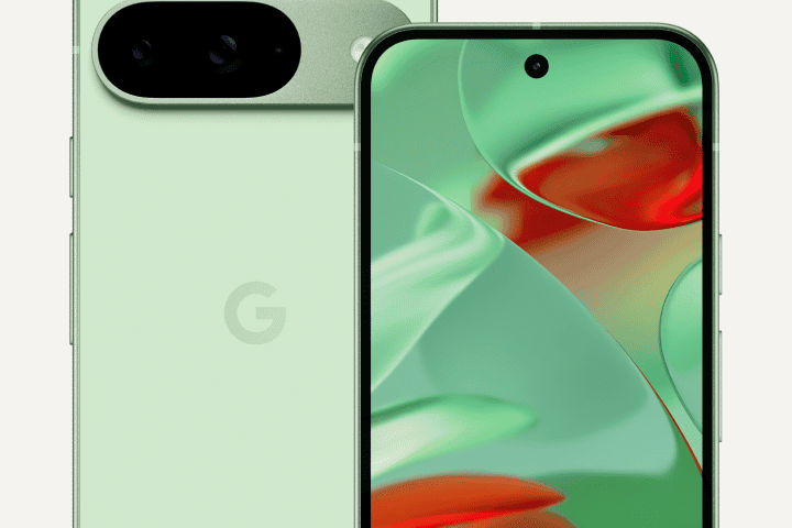 The Google Pixel 9