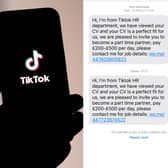 TikTok scam message to watch out for in 2025. 