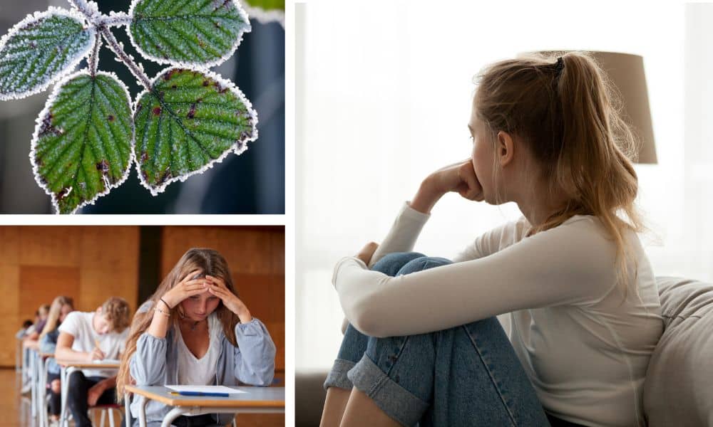 This time of year can be a lot for students 