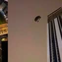 Base jumper parachutes off 500ft skyscraper.