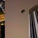 Base jumper parachutes off 500ft skyscraper.