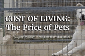 Price of Pets thumbnail image
