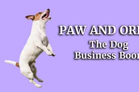 Happy playful Jack Russell Terrier dog playing