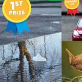 Previous winning and runners-up entries for the Nature Around Me Competition, run by First News in partnership with the National Trust
