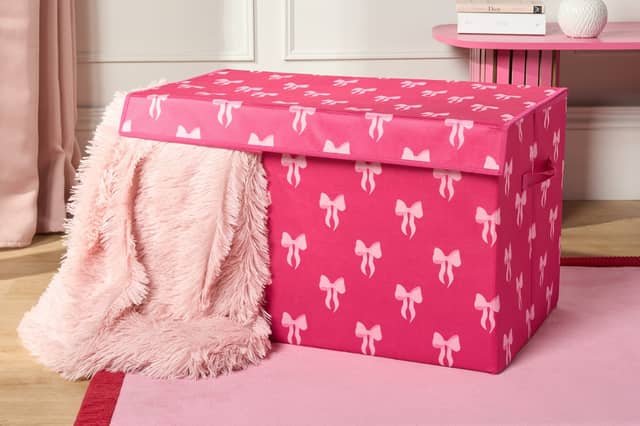 Online Home Shop's hot pink bow-print storage box has helped me tidy away household items that have looked unsightly in my home for years.